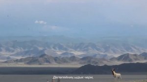 Андрей Монгуш, Игорь Көшкендей - Тыва Черим