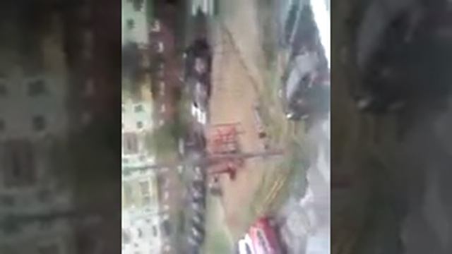 Мой дом сестра и кот смотреть онлайн