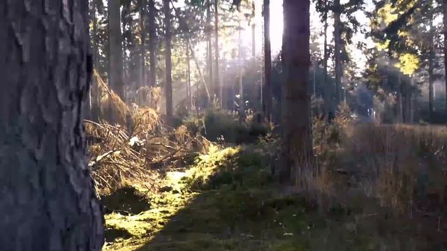 Harmònia Musica e Meditazione demo смотреть онлайн