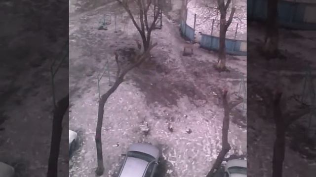 Голосование: WhatsApp vs Viber смотреть онлайн