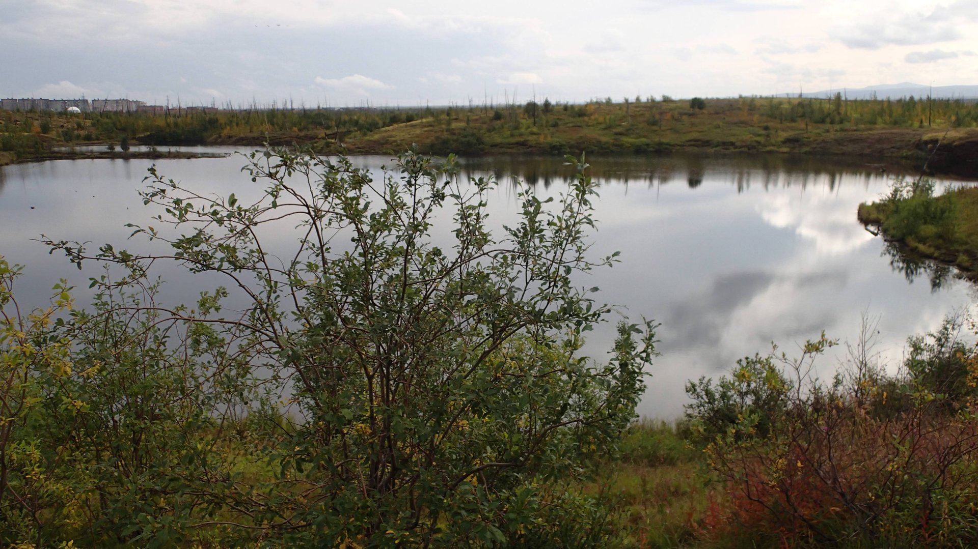 2024.09.01. Норильск. Начало осени в лесотундре. смотреть онлайн