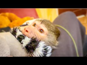 Мы с Владом  пытаемся дать Люське ВЫПЛЕСНУТЬ ЭНЕРГИЮ)))