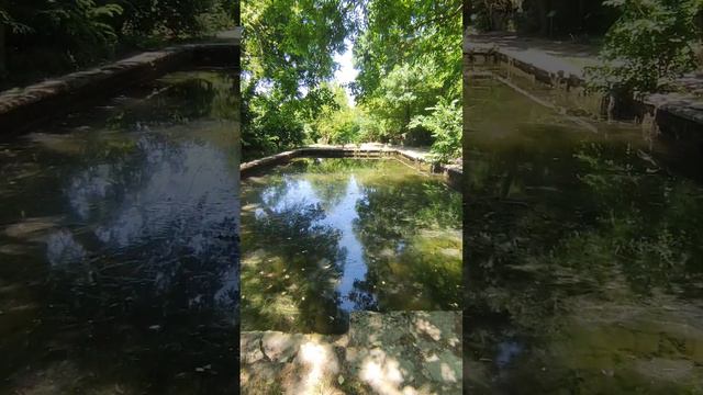 Руины Максимовой дачи в Севастополе. смотреть онлайн