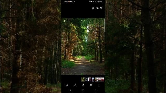 Как без программ заменить jpeg на png, короче на любой файл смотреть онлайн