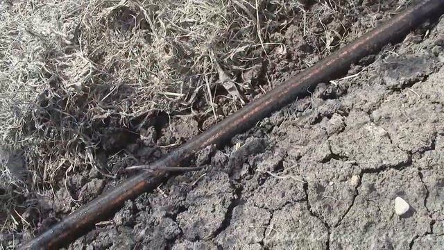 ПОЛИВ и МУЛЬЧИРОВАНИЕ в ОГ смотреть онлайн