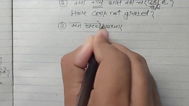 Present Perfect Tense| Interrogative + Negative Sentence With Examples