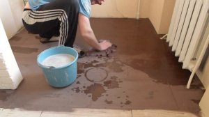 Мистер Пропер моет пол