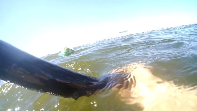 Копаем Водяного Червя/На Карася/Среда Обитания Водяного Червя смотреть онлайн