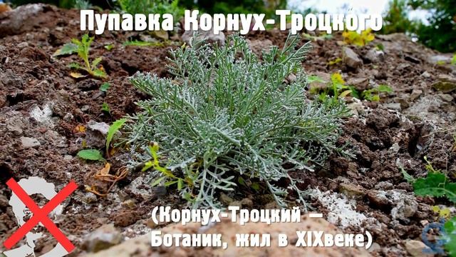 Научный видеоблог ПОД СТЕКЛОМ - выпуск 2 смотреть онлайн