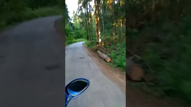 Бачахои гариб бо сукутер сайру гашт смотреть онлайн