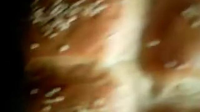 Печём домашний хлеб. смотреть онлайн