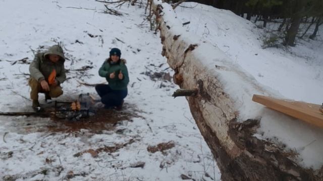 Обсуждаем, как выбрать металлоискатель для начинающих, ищем монеты в зимнем лесу и жарим шашлык. смотреть онлайн