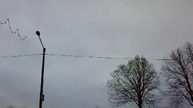 Перелетные птицы смотреть онлайн