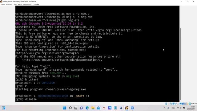 GNU Assembler x64. Отрицательные числа. Флаги OF и CF смотреть онлайн
