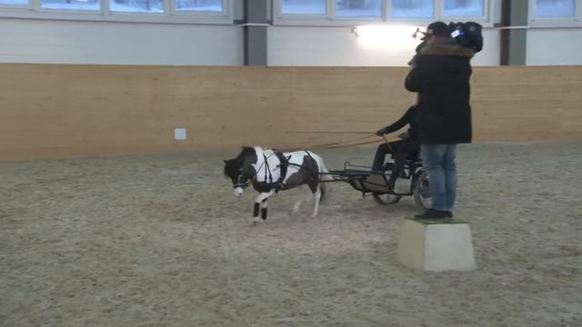 17Тренировочнаядвухколка смотреть онлайн