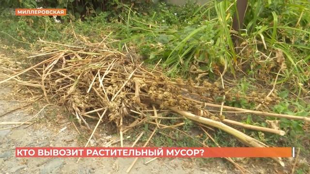 Кто должен вывозить растительный мусор из частного сектора? смотреть онлайн