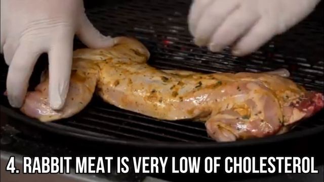 8 Benefits of Eating Rabbit Meat смотреть онлайн