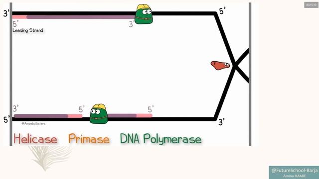 G11 Zoom Meeting ( Biology ) ( 22.04.2021 ) смотреть онлайн