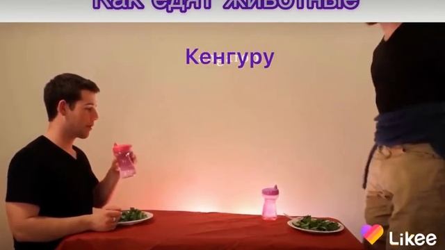 Как едят звери смотреть онлайн