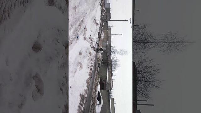 Как перевозить холодильник если нет машины) смотреть онлайн