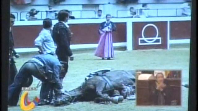 Álvaro Múnera habla en el Congreso de la República por los animales.Cuarta parte de 5 смотреть онлайн