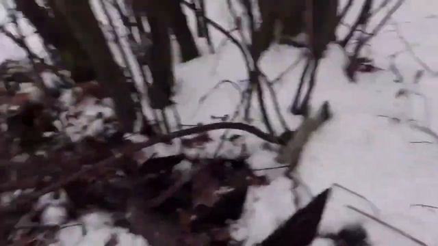 МЕТАЛЛ ДОРОЖАЕТ/ЗИМНИЙ МЕТАЛЛОКОП 2023#коп2023 #ценанаметалл #заработок #ищуметалл #чермет#tx850#ко смотреть онлайн