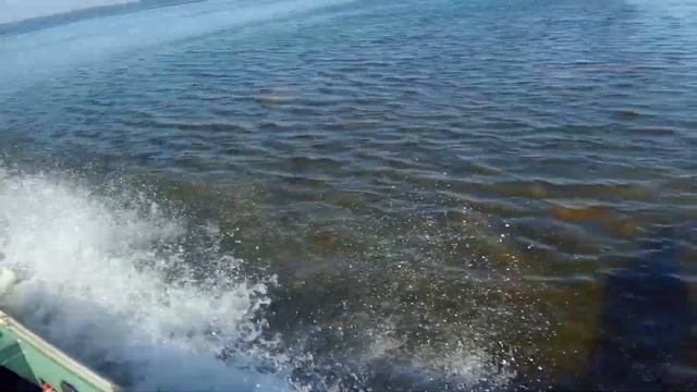 ОХОТА на УТКУ на осенних Раскатах Каспия, в низовьях ВОЛГИ на АСТРАХАНЩИНЕ!!!! смотреть онлайн