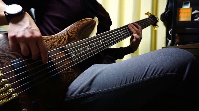 【Bass Cover】Protest The Hero - Bloodmeat 【Ibanez SR-5006】