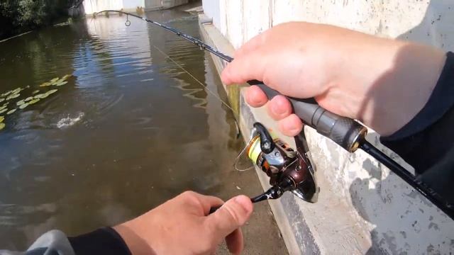 Первое тестирование CF Arion ASRE702ULS.mp4