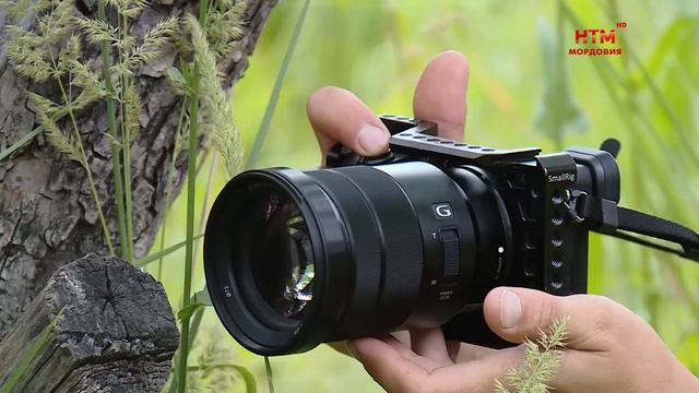 Рояль в кустах смотреть онлайн