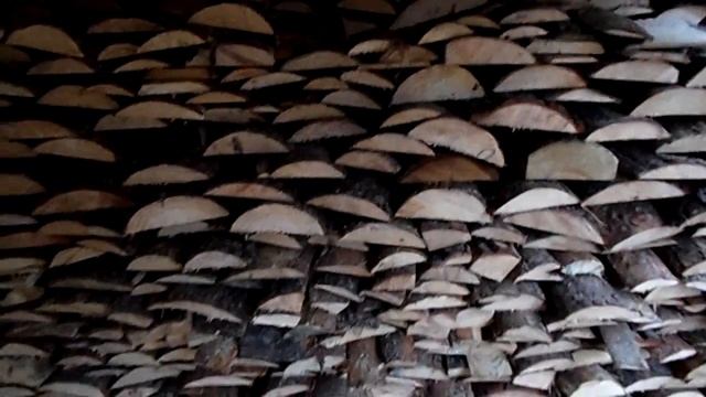 Наши будни: Заготовка дров