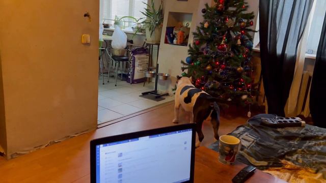 Один день из жизни стаффорда дома ч.1 смотреть онлайн