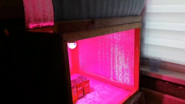 Тестирую фитолампу начало эксперимента смотреть онлайн