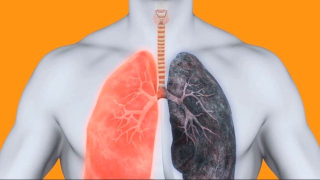 ОПАСНЫЕ СИМПТОМЫ РАКА | Не пропусти это у себя смотреть онлайн