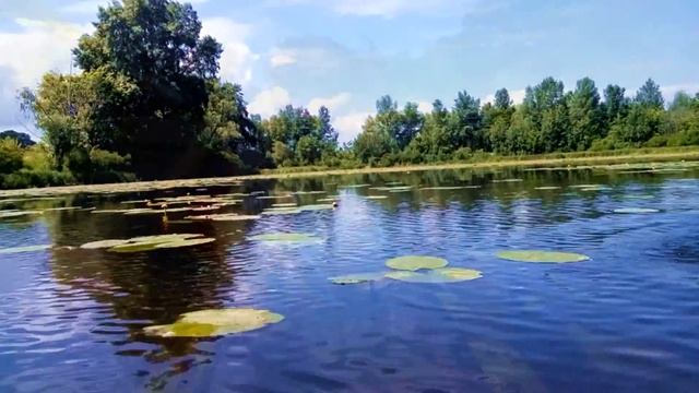 Прогулка на байдарке по заливу Верблюд смотреть онлайн