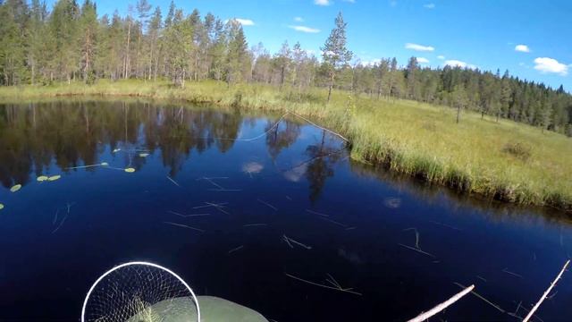 КАРЕЛИЯ.НА РЫБАЛКУ В ТОЛВАЯРВИ. смотреть онлайн