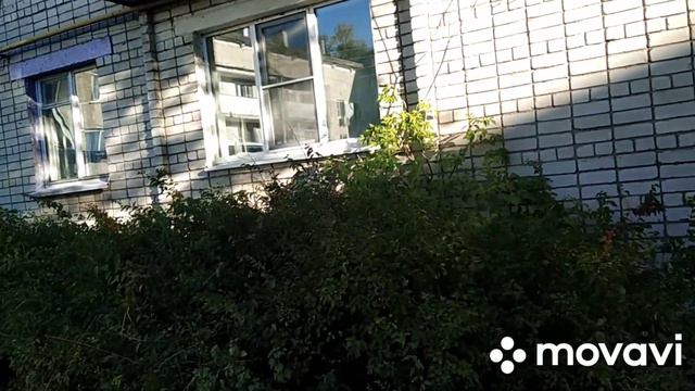 Кстати Кузя, Вася меня не слушается, ☹️Почему🐈 смотреть онлайн