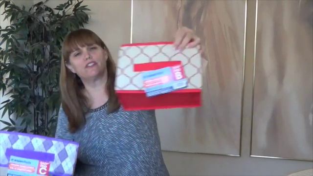 Organizing With the Dollar Tree Store смотреть онлайн