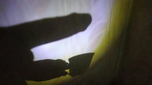 Шоу теней "чаепитие"