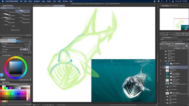 Bass Shark Sketch 8 смотреть онлайн
