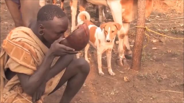 Как я выжил в диком африканском племени. Племена Мурси и Хамар Обычаи и Ритуалы смотреть онлайн