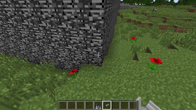 Экскурсионный день