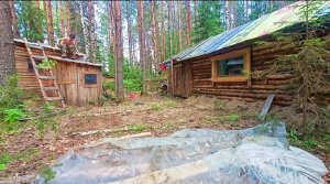 Большой двух комнатный дом в ЛЕСУ. Закрыли крышу предбанника. Гром гремит!