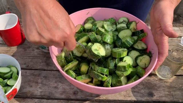 Психология и Развитие