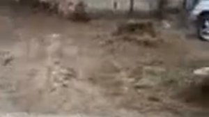 Пьяный мужик орет матом на весь двор