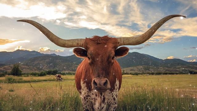 Bull Spirit Guide - Ask the Spirit Guides Oracle - Totem Animal, Power Animal - Magical Crafting смотреть онлайн