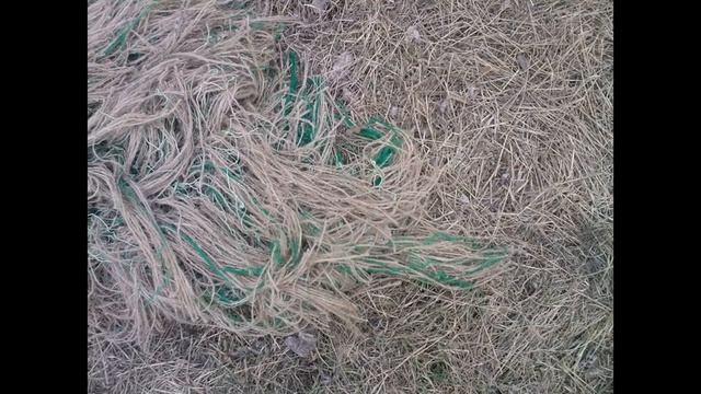 мкк смотреть онлайн