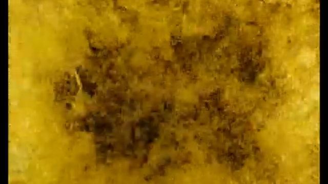 Baltika Cooler смотреть онлайн