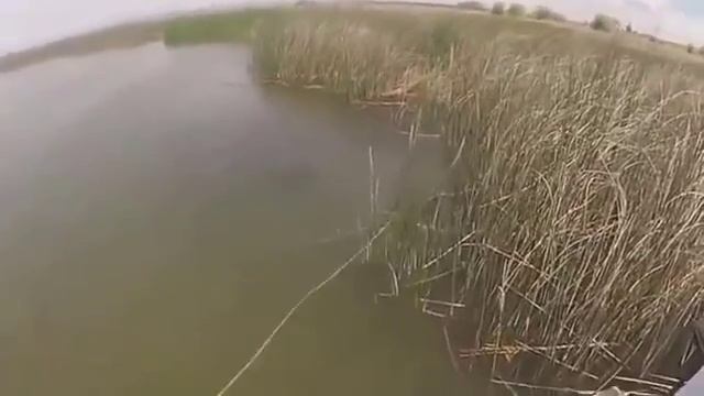 охота  рыбалка с арбалетом Bowfishing
