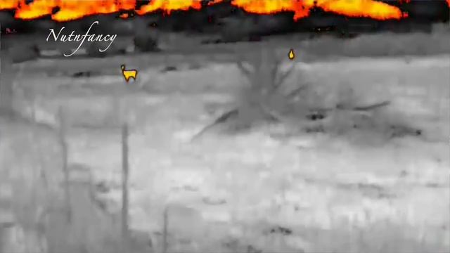 Thermal Night Vision: Nothing Hides! (FLIR Breach) смотреть онлайн